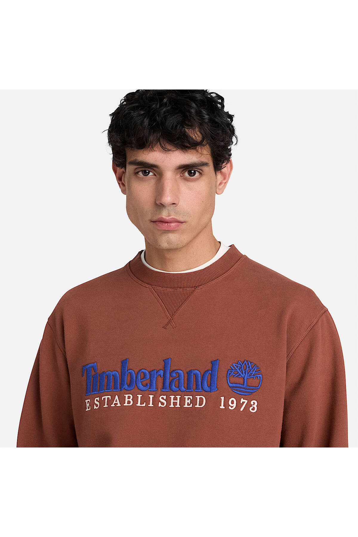 Timberland Erkek Established 1973 Nakış Logolu Sweatshirt TBC0YHB7AIM1 - Kahverengi
