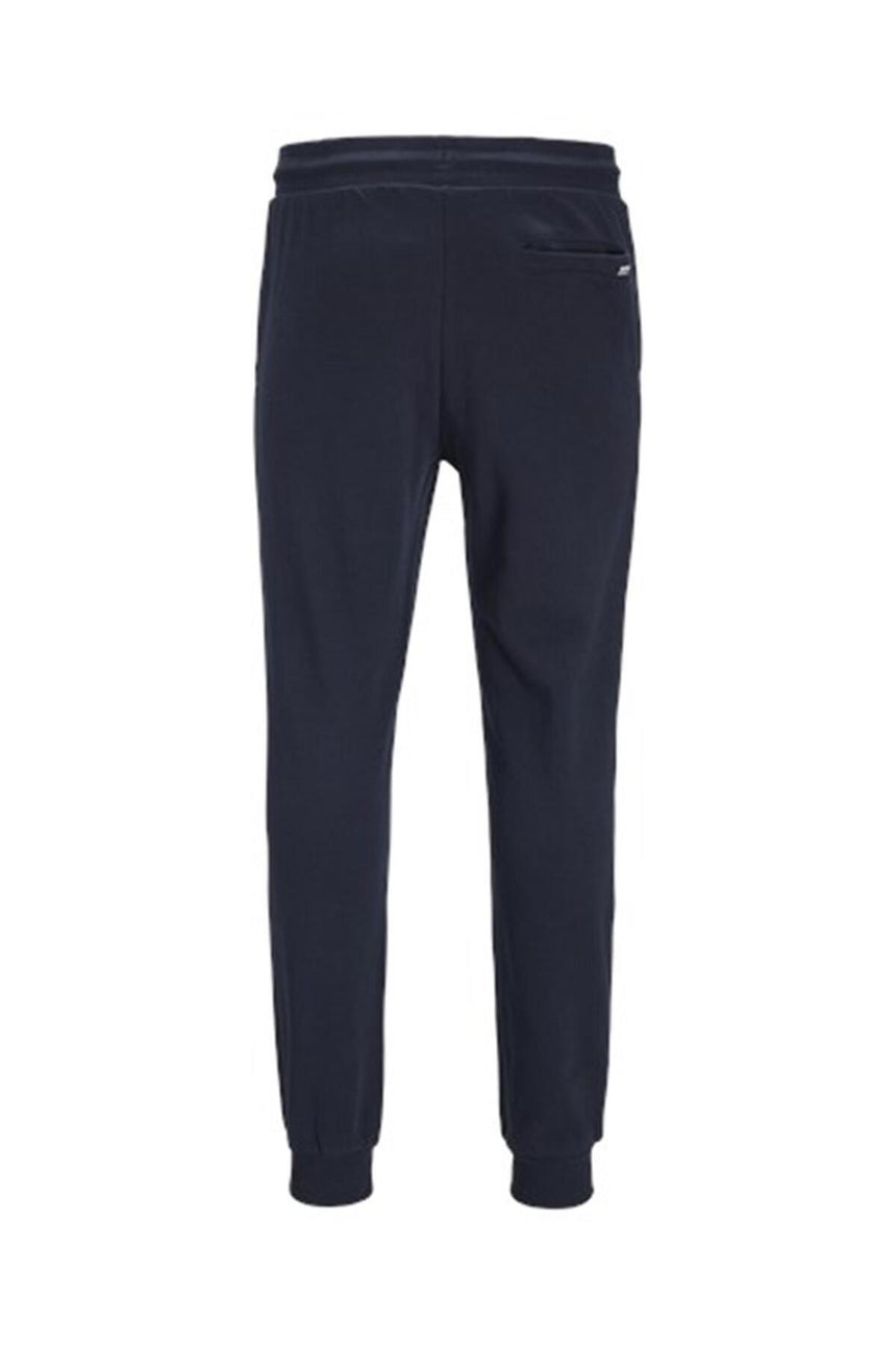 JACK&JONES JPSTGORDON SHARK SWEAT PANTS NOOS 12165322 - Açık Gri