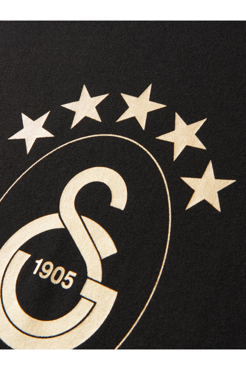 Galatasaray 5 Yıldız T-Shirt E251352-1 - Siyah