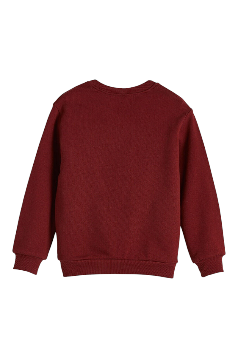 Sporline LC Waikiki çocuk bordo bisiklet yaka pamuklu sweatshirt arka görünüm