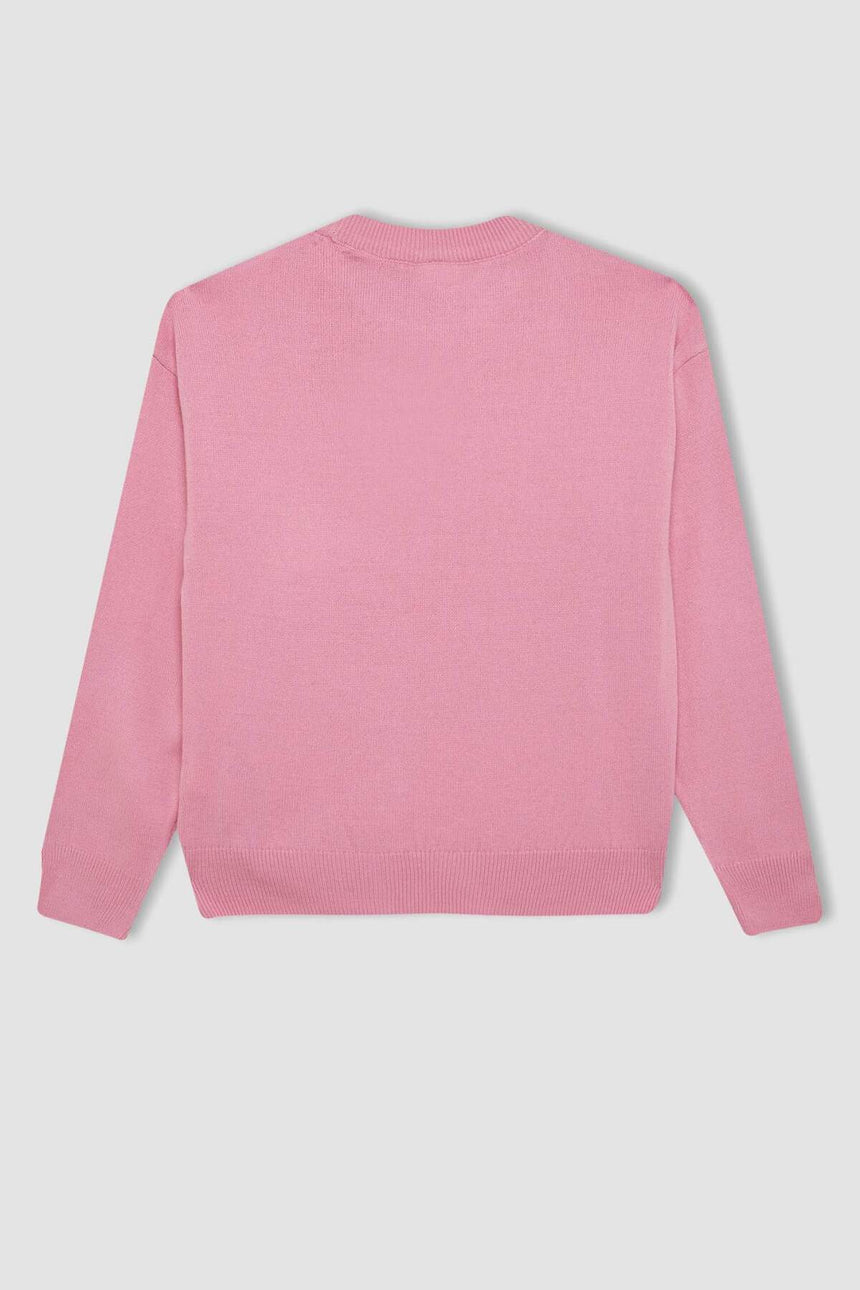 Defacto Çocuk Pullover C6902A8 - Açık Pembe