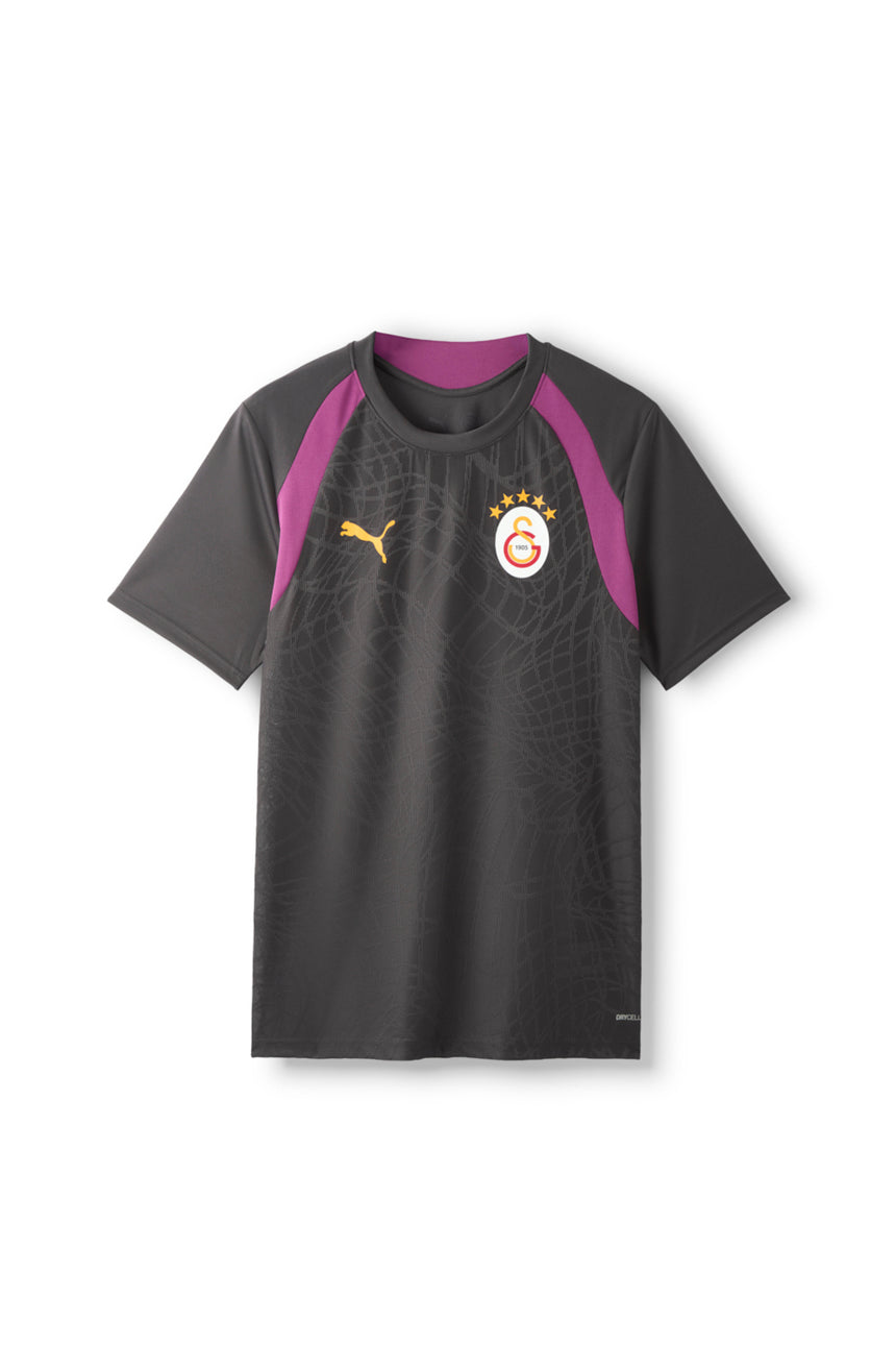 Galatasaray Puma Antrenman T-Shirt 78680505 - Antrasit