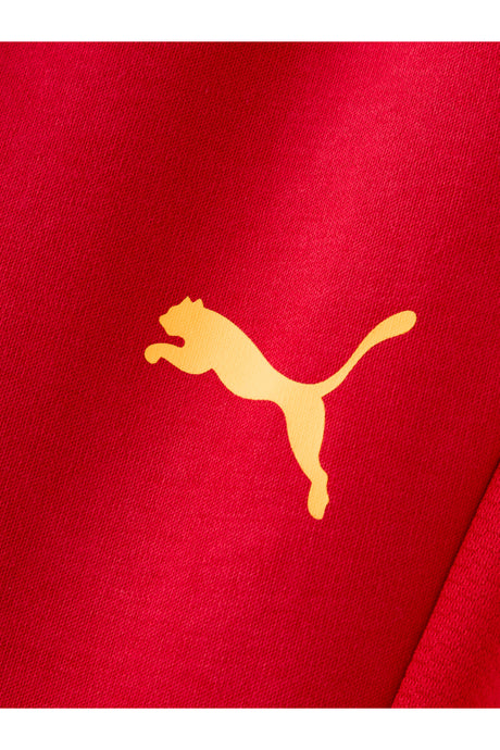 Galatasaray Puma Eşofman Alt 78682201 - Kırmızı