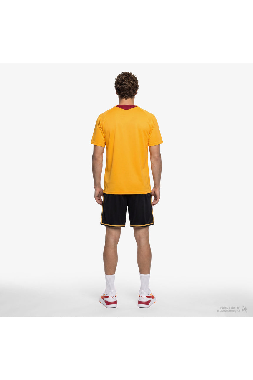 Galatasaray 78680507 Erkek Forma - Sarı