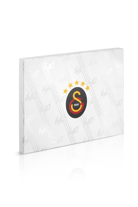 Galatasaray Leroy Sane Özel Forma E252353 - Beyaz