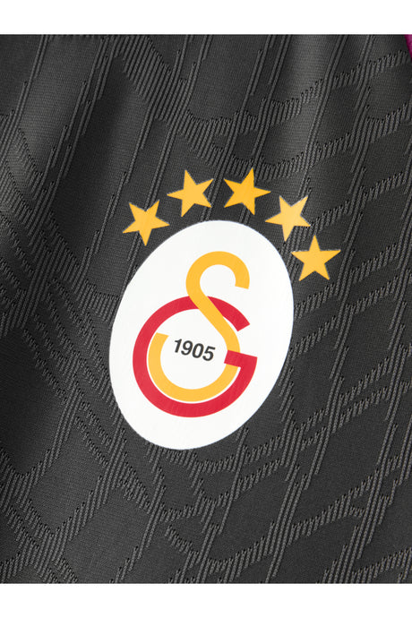 Galatasaray Puma Antrenman T-Shirt 78680505 - Antrasit