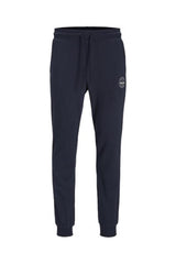 JACK&JONES JPSTGORDON SHARK SWEAT PANTS NOOS 12165322 - Açık Gri