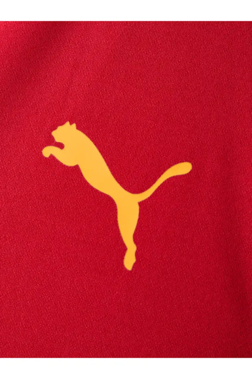 Galatasaray Puma Antrenman Ceket 78680901 - Kırmızı