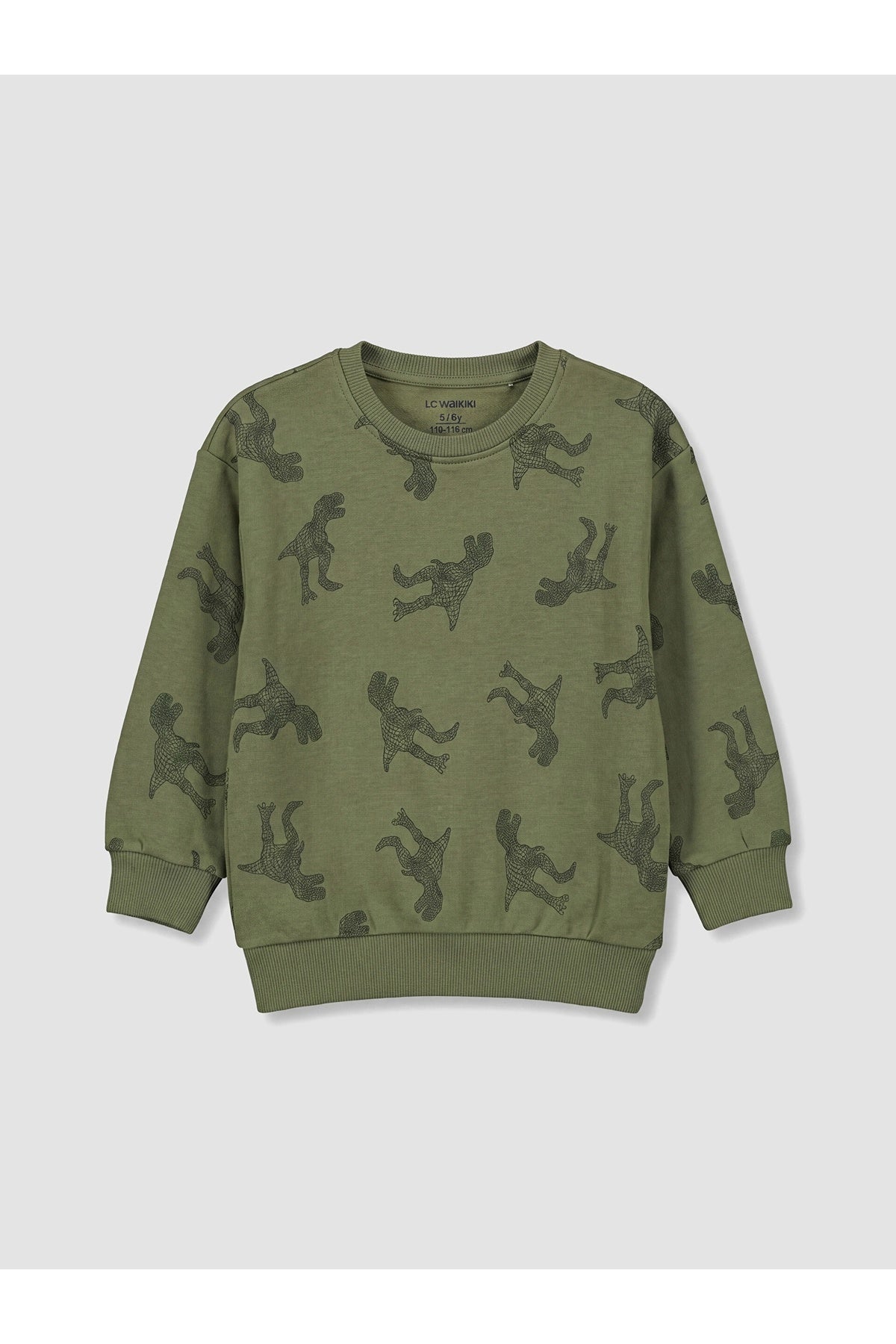 LC Waikiki Çocuk 2'li Oversize Sweatshirt W67623B1 - Koyu Yeşil