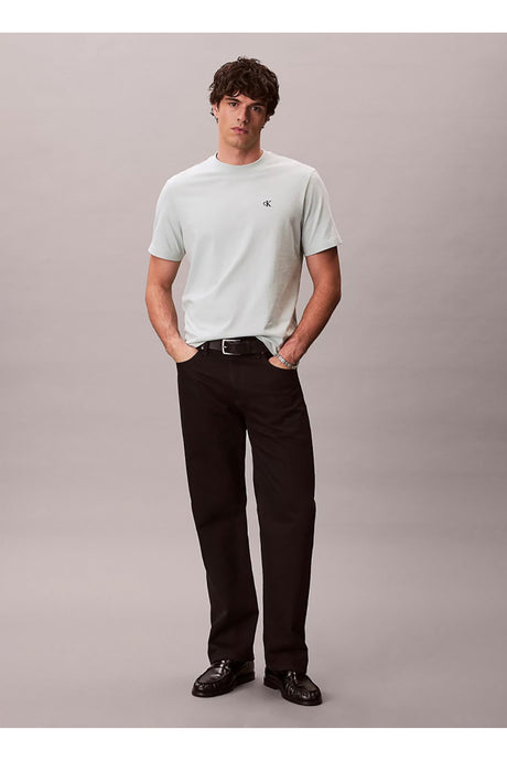 Calvin Klein Erkek SS EASY MONOGRAM TEE LV04RC275G - Yeşil