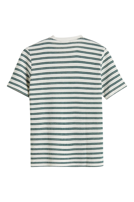 Sporline LC Waikiki erkek yeşil beyaz çizgili kısa kollu pamuklu t-shirt, arkadan görünüm.