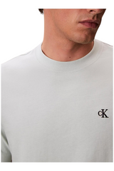 Sporline Calvin Klein yeşil renkli, %100 pamuklu, regular kesim erkek tişörtü