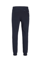 JACK&JONES JPSTGORDON SHARK SWEAT PANTS NOOS 12165322 - Açık Gri