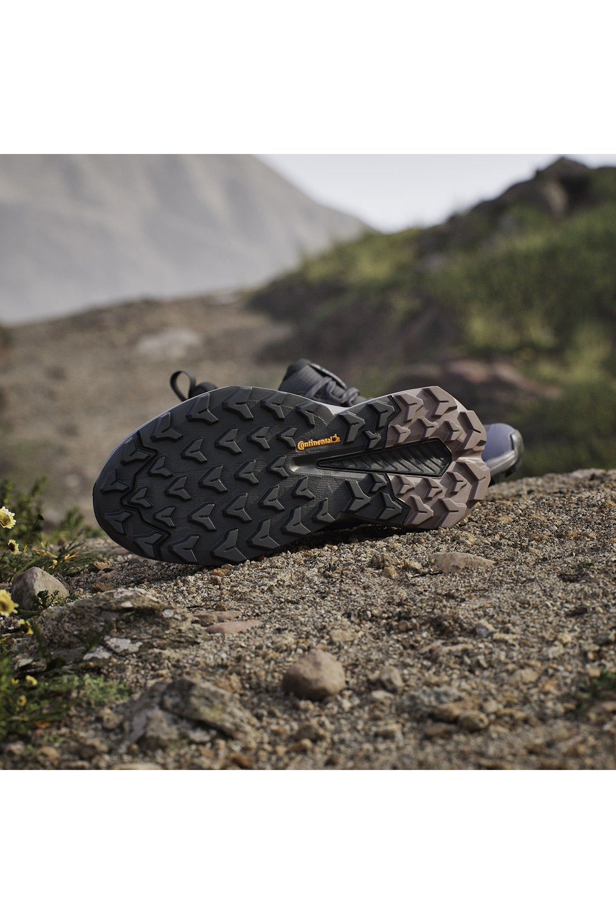 adidas Terrex Trailmaker 2 GTX Kadın Outdoor Ayakkabı JQ9946 - Gri
