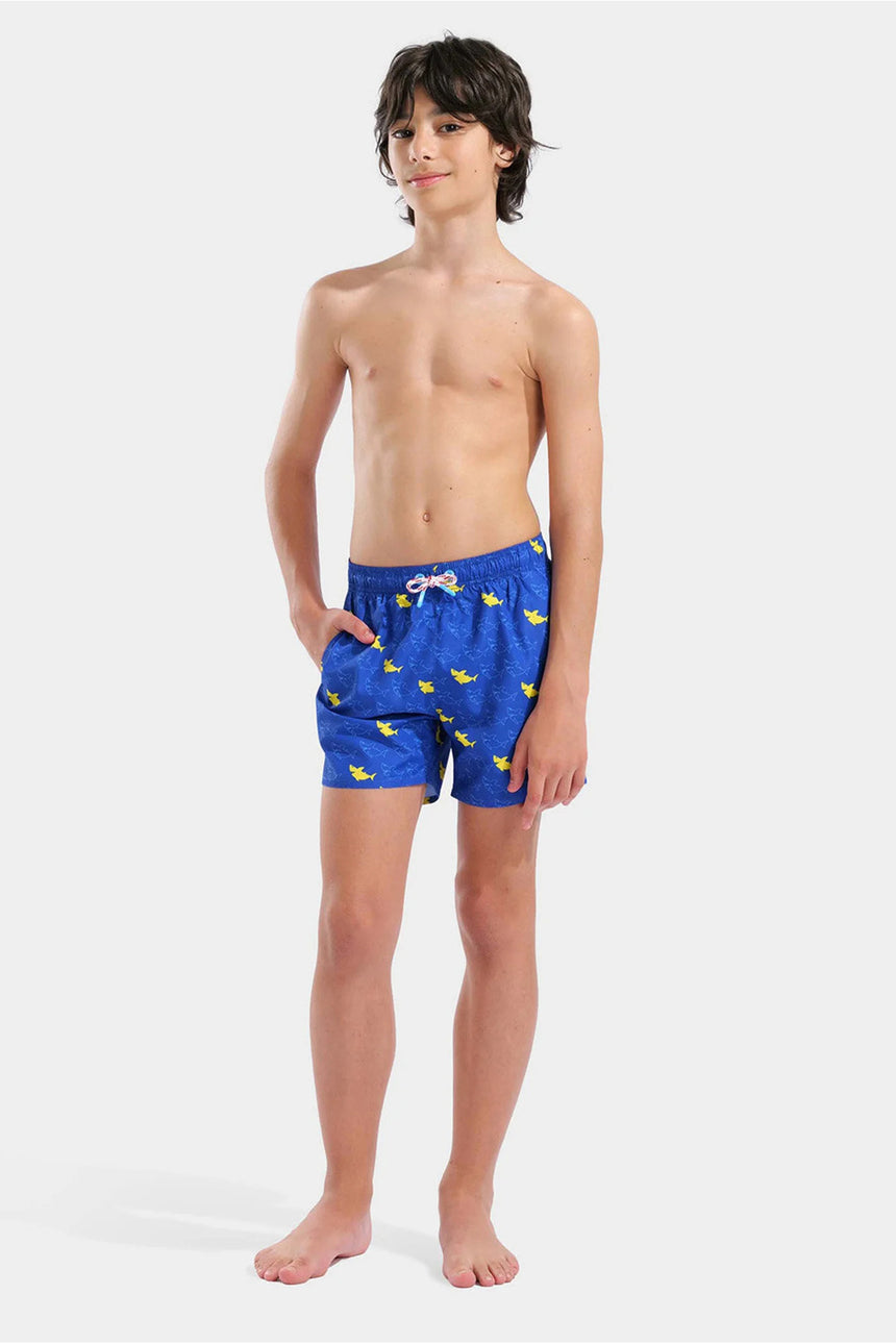 ARENA BOY'S ARENA WATER PRINTS BEACH BOXER AO 007186830 - Mavi