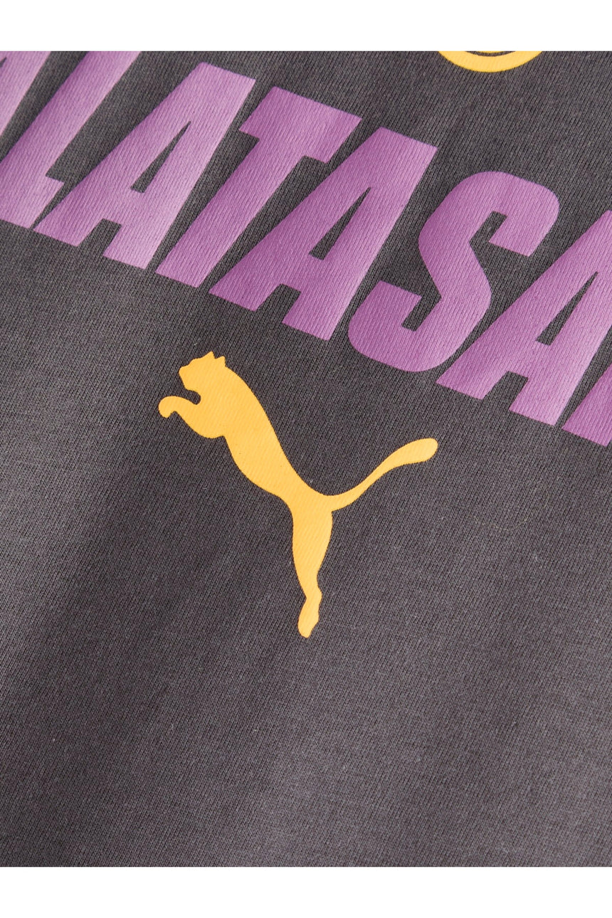 Galatasaray Puma T-shirt 78684019 - Antrasit