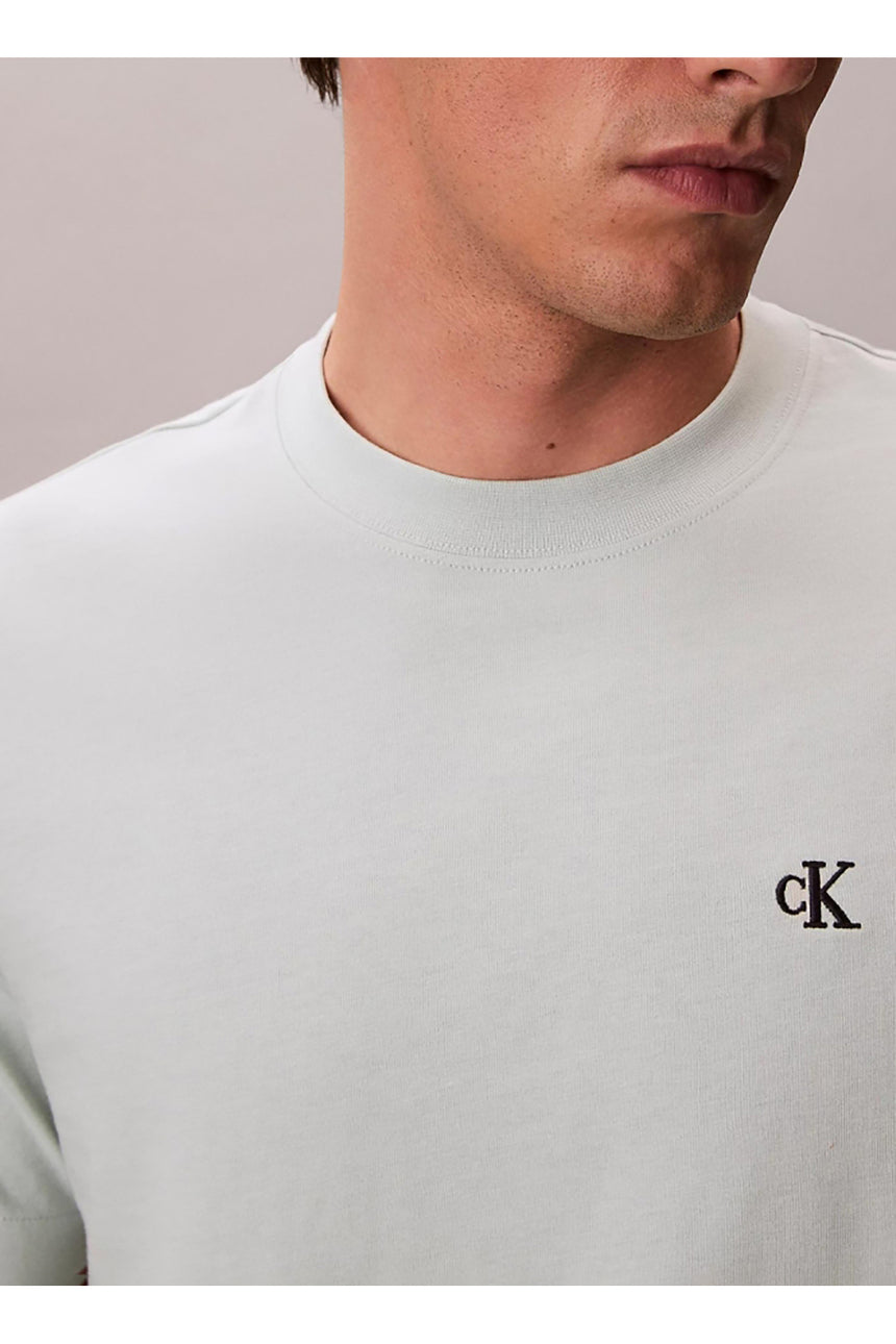 Calvin Klein Erkek SS EASY MONOGRAM TEE LV04RC275G - Yeşil
