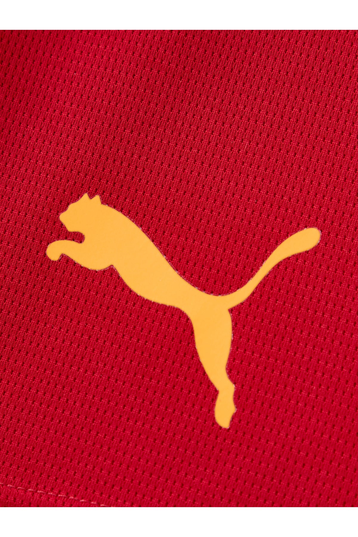 Galatasaray Puma Antrenman Erkek Şort 78681201 - Kırmızı