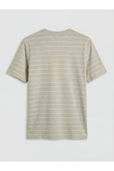 LCW ERKEK S6OD30G8 KK.TSH,XM-TEDDYSTRIPE - Gri