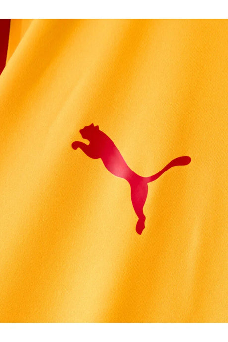 Galatasaray Puma 2026/2027 Çocuk İç Saha Taraftar Forması 78499601 - Sarı/Kırmızı