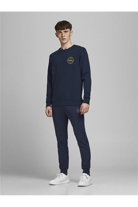 JACK&JONES JPSTGORDON SHARK SWEAT PANTS NOOS 12165322 - Açık Gri