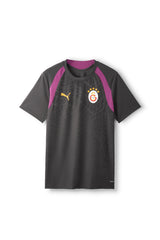 Galatasaray Puma Antrenman T-Shirt 78680505 - Antrasit