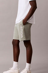 Calvin Klein Erkek 350TERRY EU SP GRAPHIC SHORT LV04LG214G - Siyah