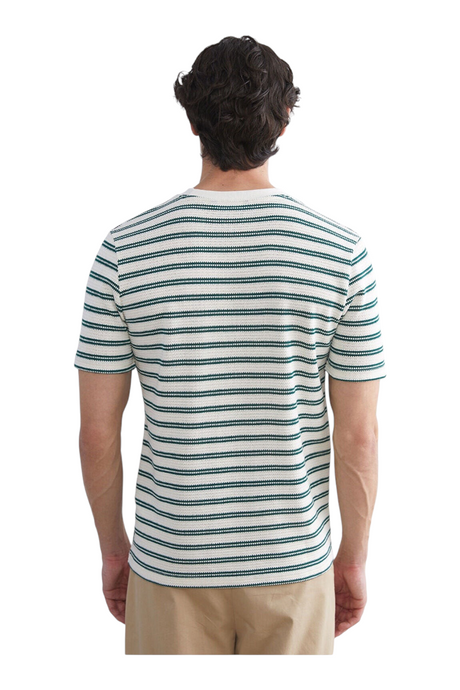Sporline LC Waikiki erkek yeşil beyaz çizgili kısa kollu pamuklu t-shirt, sırt görünümü