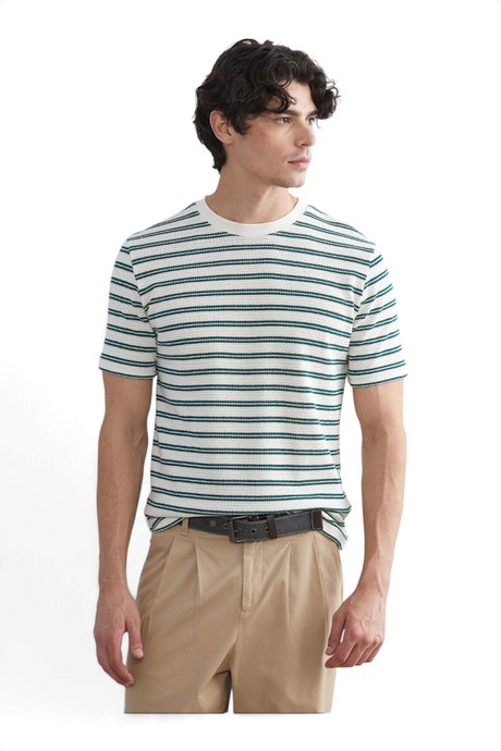 Sporline LC Waikiki erkek yeşil çizgili kısa kollu pamuklu t-shirt giyen model