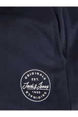 JACK&JONES JPSTGORDON SHARK SWEAT PANTS NOOS 12165322 - Açık Gri