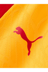 Galatasaray Puma Çocuk Antrenman T-Shirt 78680607 - Sarı