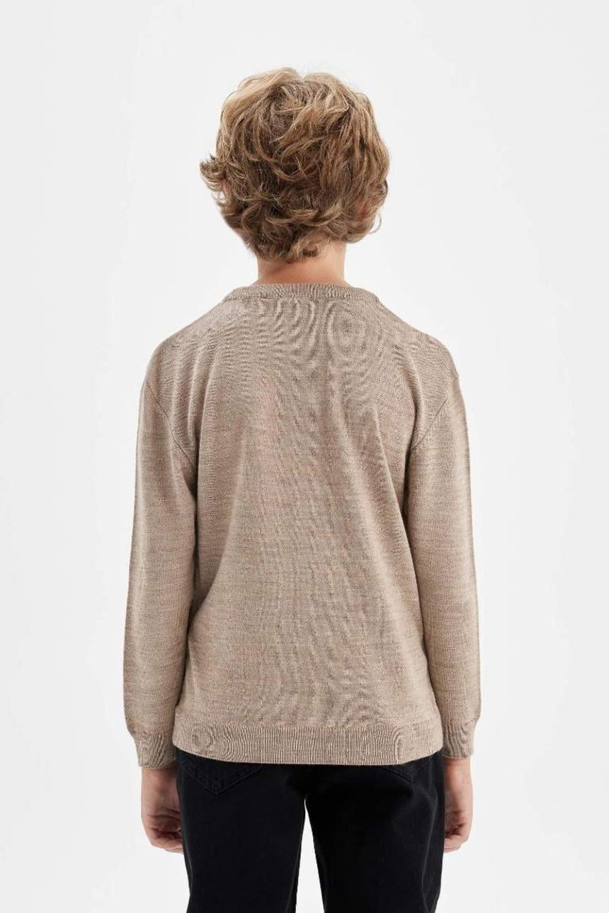 Defacto Çocuk Pullover A4992A8 - Bej