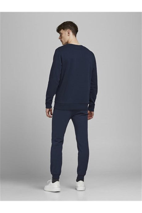 JACK&JONES JPSTGORDON SHARK SWEAT PANTS NOOS 12165322 - Açık Gri