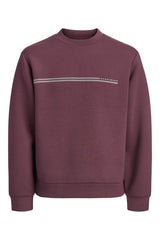 Jack & Jones Fusion Erkek Sweatshirt 12289830 - Kahverengi
