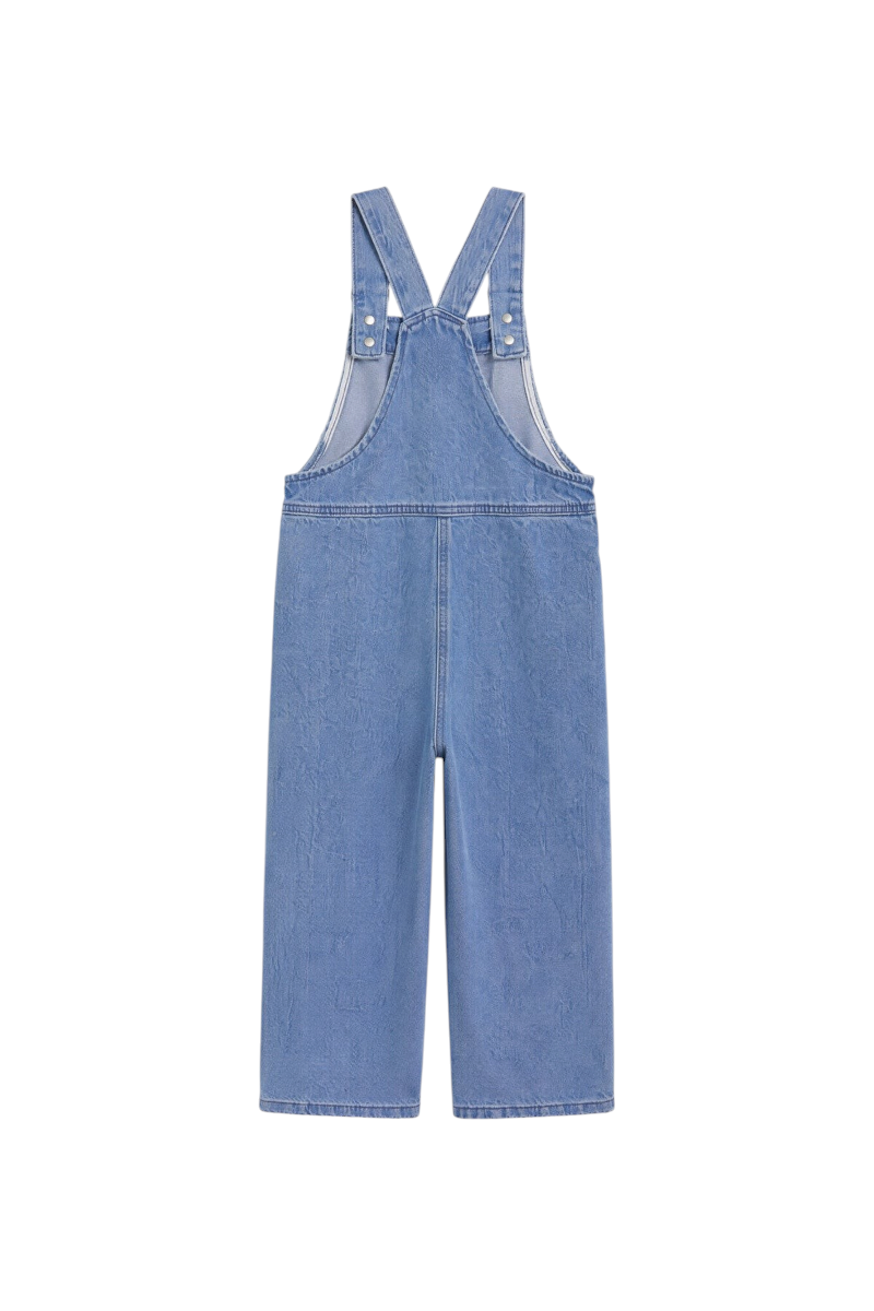 Sporline LC Waikiki çocuk mavi denim kot salopet tulum, arka görünüm
