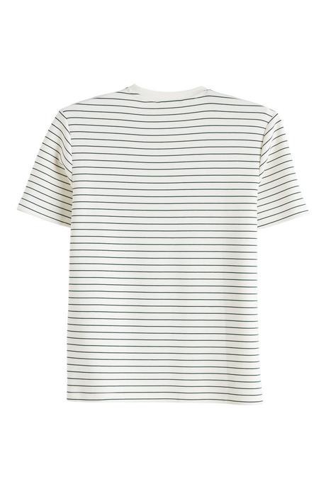 Sporline LC Waikiki erkek yeşil çizgili kısa kollu pamuklu regular kesim t-shirt arka görünümü